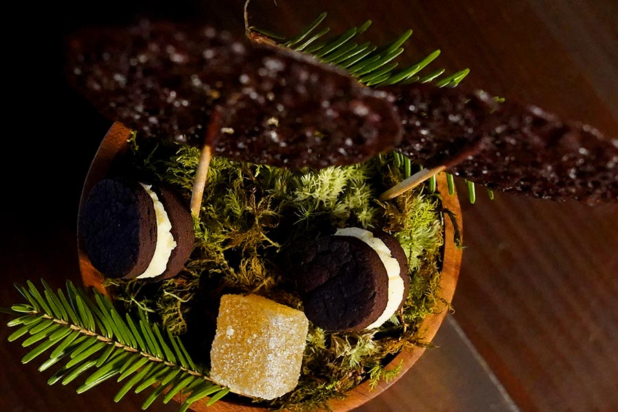 Gastronomic chocolate dessert presented in a botanical setting at Restaurant Tòvera near Périgueux